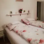 Vizhaz Apartament *